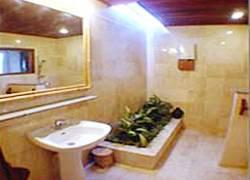 Hotel Bayu 3*